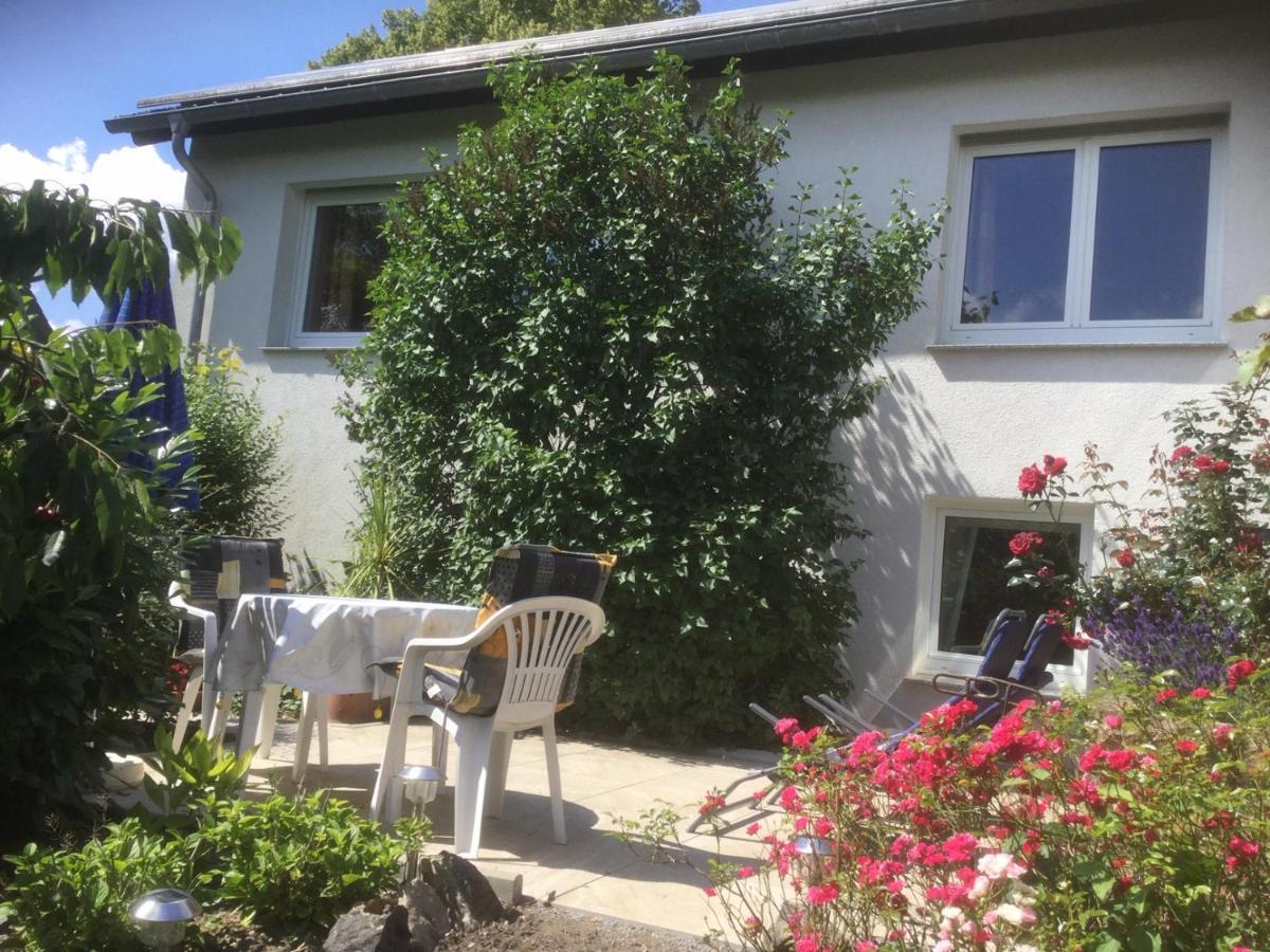 Ferienhaus Moock Horn-Bad Meinberg Extérieur photo